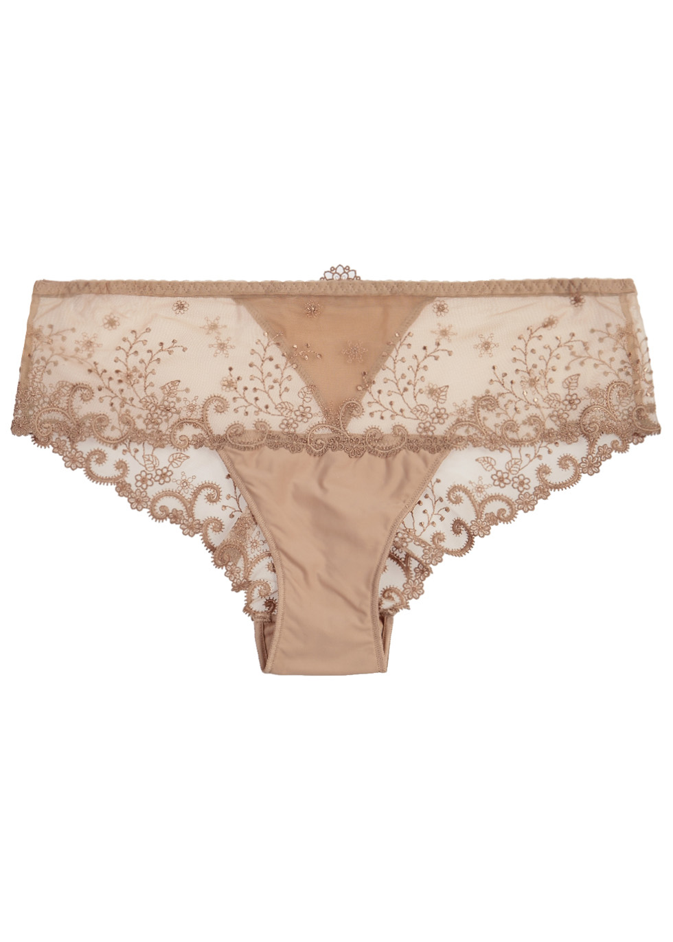 Delice embroidered tulle briefs