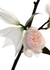 Mon Paris Floral Eau de Parfum 30ml - Yves Saint Laurent