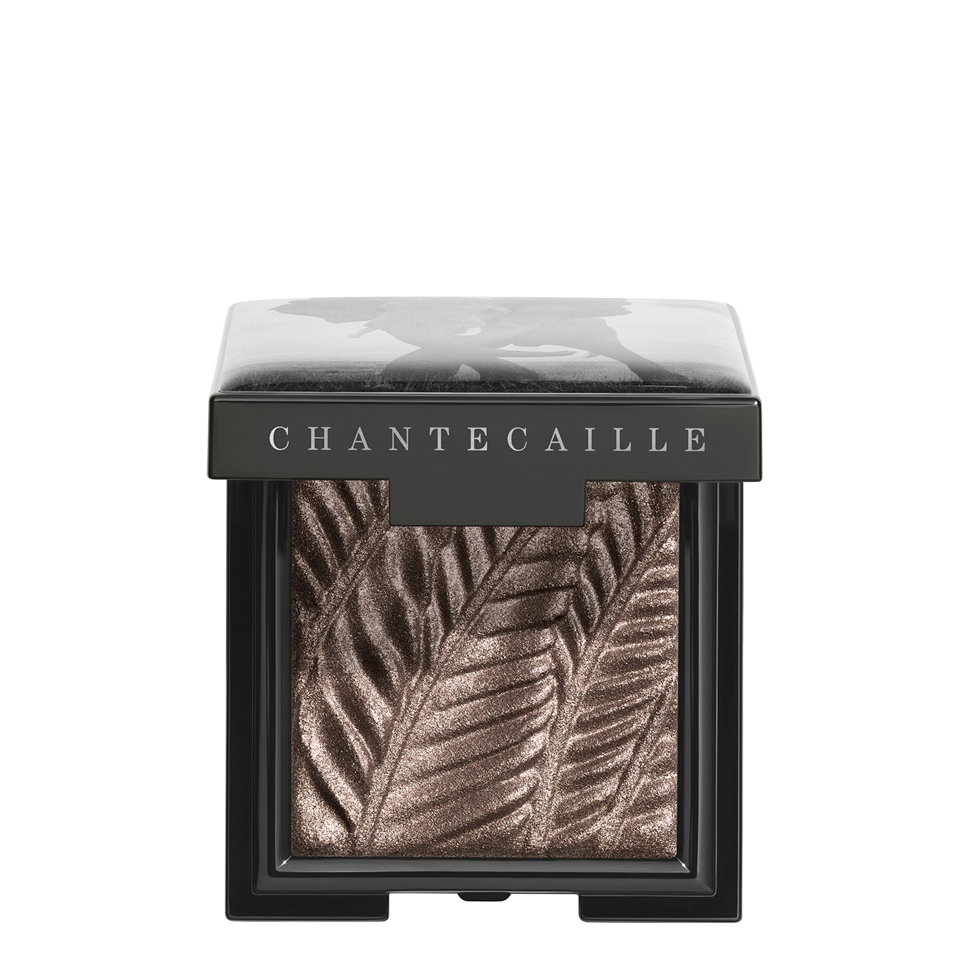 Chantecaille Luminescent Eye Shades In Brown