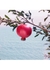 Nutritious Super-Pomegranate Radiant Energy Lotion Intense Moist 400ml - Estée Lauder