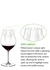 Performance Pinot Noir Wine Glasses x 2 - Riedel