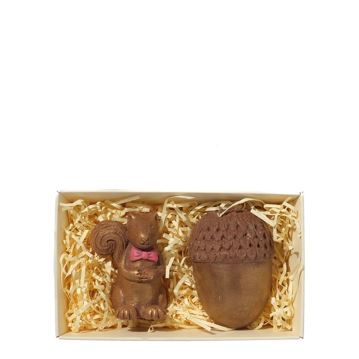 Choc On Choc Golden Chocolate Squirrel & Acorn 90g