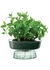 Canopy self watering planter h14.5cm recycled-part optic - LSA International
