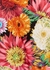 Didi floral-print cropped cotton top - Borgo de Nor