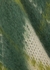 Argyle-intarsia mohair-blend vest - Marni