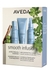 Smooth Infusion™ Perfect Blow Dry Essentials Set - Aveda