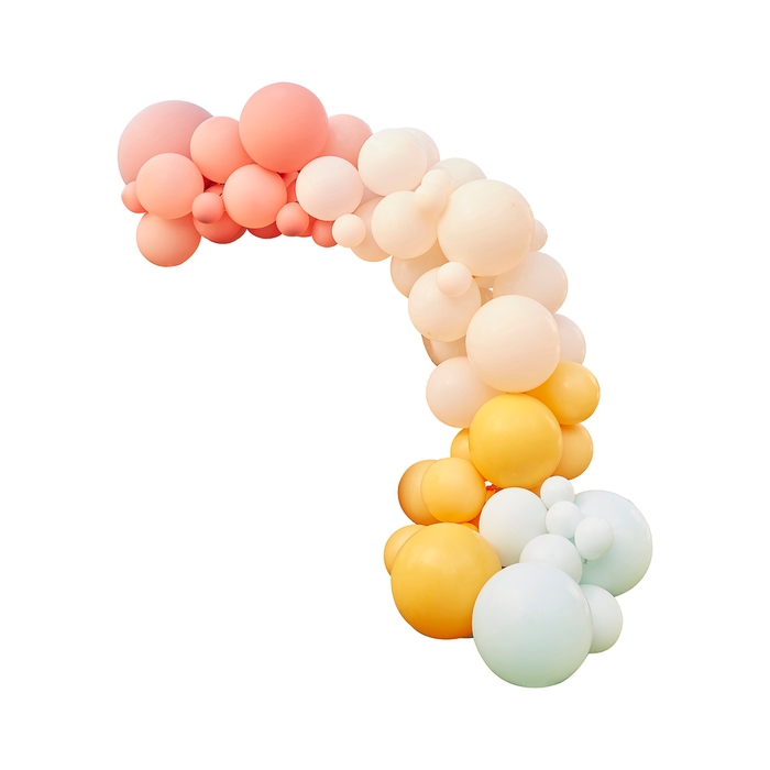 Ginger Ray Muted Pastel Balloon Arch Kit