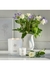 White Rose & Lemon Leaves Luxury Candle 2200g - JO LOVES