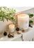 Fig Trees Luxury Candle 2200g - JO LOVES