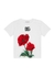 KIDS Floral-print cotton T-shirt - Dolce & Gabbana