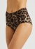 Leopard-print bikini briefs - Dolce & Gabbana
