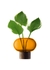 Oblate vase h13.5cm-Ã¸15cm amber-walnut ** - LSA International